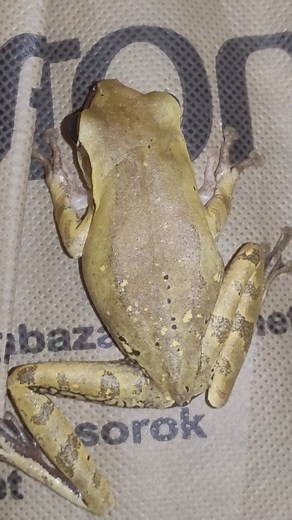 Close up 🕵️‍♀️