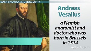Andreas Vesalius | Accomplishments, Discoveries & Contributions