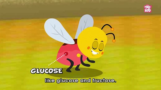 how Do Bees Make Honey_ - The Dr. Binocs Show _ Best Learning Video
