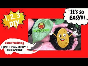 How To Grow Potatoes: Fun, Quick, and Easy Potato Growing Guide | Fun For Kids of All Ages