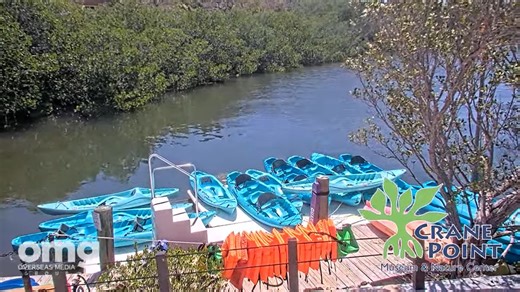 Crane Point Museum Live Webcam - Marathon, Florida