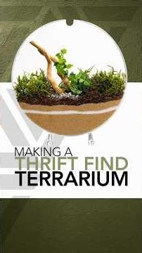 Thrift find terrarium