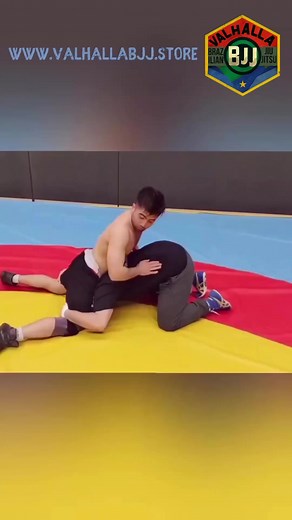 10K views · 326 reactions |  Amazing BJJ Transition: Turtle to Side...