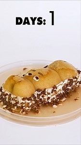 38K views · 120 reactions | Rotting Cookie in Timelapse 練#satisfying #decay #timelapse | Time Treats | Facebook