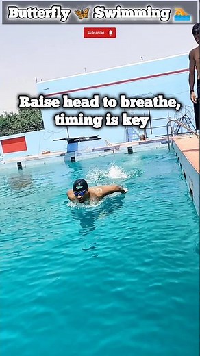 How to Swim Butterfly: Step-by-Step Guide, Swimming Tips for Beginners #learnswimming #swimming