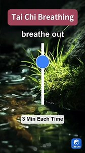 Tai Chi Breathing
