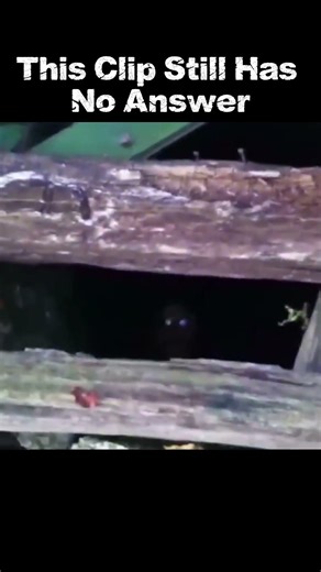 Mysterious moment Caught on camera