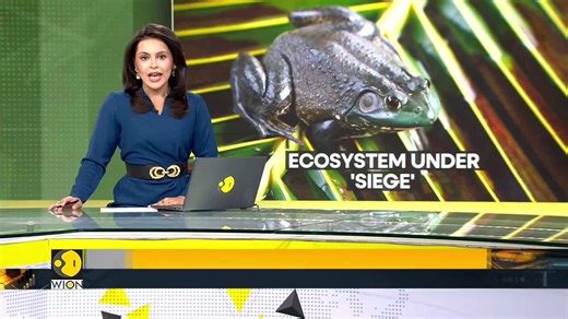 Climate change fuels the invasion of alien species