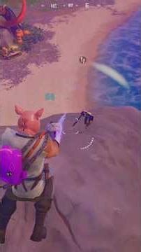 Battle Royale #fortnite# Victory Royale ✌️