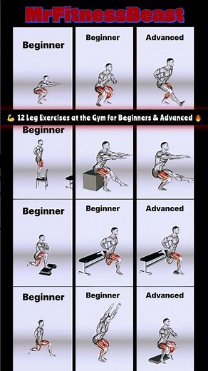 12 Leg Exercises at the Gym for Beginners & Advanced 🔥#LegWorkout #GymWorkout #LegExercises #LegDay