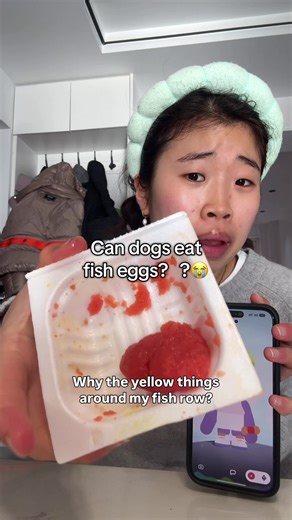 Can Dogs Eat Fish Eggs? Understand the Risks