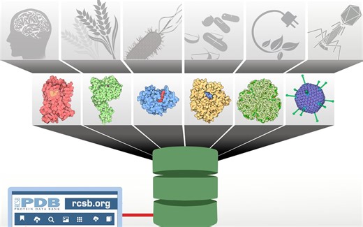 Pymol for Beginners - video 1 orientation