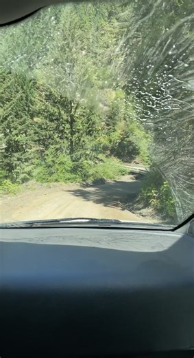 Hugh Commodore🇨🇦 (@vancitykings604)’s videos with C Weed Band Run As One - OjicreeGuy