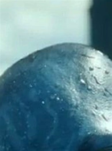 Understanding Blame in Neteyam's Death from Avatar