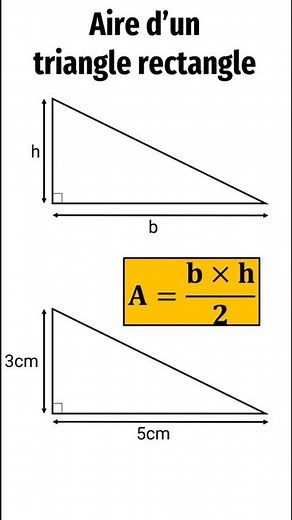 Comment calculer l'aire d'un triangle rectangle? #shorts