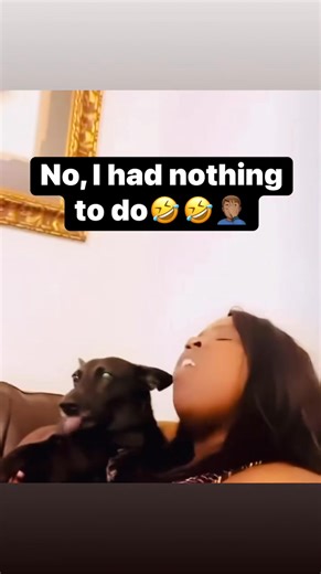 I love me some dogs | Carla Tookes