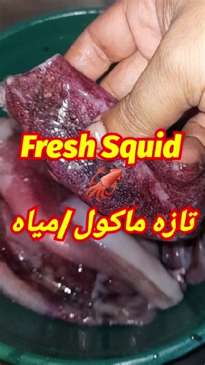 How to clean a squid in easy steps. #squid #fish #tauqeerahmedofficial #cuttingfishvideo #seafood