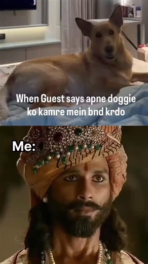 . on Instagram: "“Bachelor of Computer Applications (BCA) is a comprehensive undergraduate program designed to develop a strong foundation in computer science and information technology. It focuses on programming, software development, database management, web technologies, networking, and problem-solving skills, preparing students for professional roles in the IT industry and for advanced studies in computing.” #tatasierra2026❤️ #goldenretriever #salmankhan #vengance #batman #puppies #dcunivers