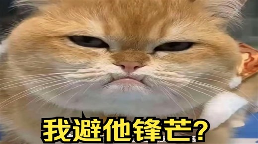 【直播回放】沉浸式游玩旮旯game 2025年12月14日15点场