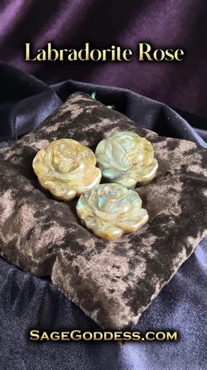 28 reactions | Happy New Moon! Embrace adventure & untamed independence with my new Run Wild and Free Sagittarius New Moon Set! See today’s other new offerings here  https://sg.rocks/new 朗 Including this Natural Dravite with Phlogpite Inclusions for energetic clearing, a Labradorite Rose for setting intentions of new love + much more! Save 22% with code VENOM 廬 | Sage Goddess | Facebook