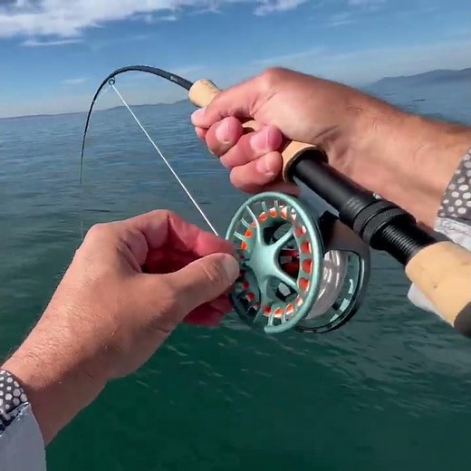 Saltwater Fisherman's WORST NIGHTMARE