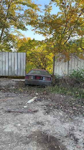 Exploring the Hidden Gems of Junkyard Cars