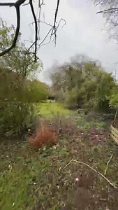 1.6M views · 47K reactions | Check out PD Nero, hot on the trail of a suspect  Our police dogs are fantastic when it comes to stopping suspects in their tracks. Watch this training clip of PD Nero working and reacting to his handler PC Gridley … what a team ⭐️ | Lincolnshire Police | Facebook