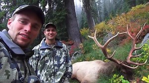 GoPro Archery Elk Hunt – A Close-Range Adventure | Cpacify Maris