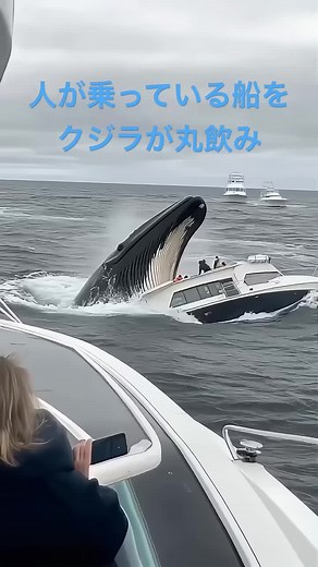 クジラが船を飲み込む驚愕映像 #shorts