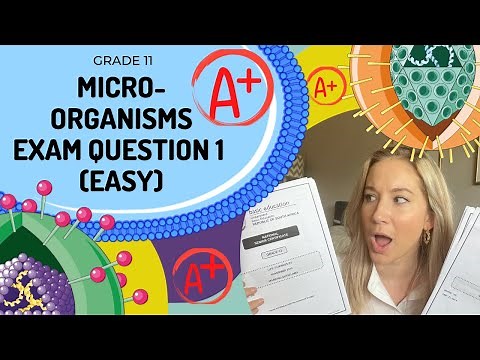 GET an A+ in EXAMS!! | MICROORGANISMS AND IMMUNITY Q1- EASY