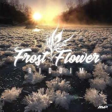 【FROST FLOWER RIDDIM INSTRUMENTAL】 #mvpmusic