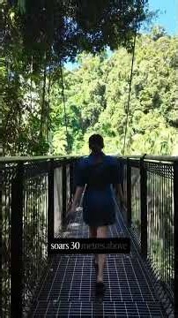 How to spend your day exploring Tamborine Mountain - Part 2