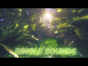 Jungle Sounds Ambient ● Singing birds and insects | Nature Sounds, Relaxing Sounds, Study