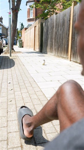 The Streets Aren't Safe 😅 | Olima Omega