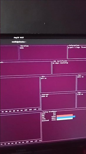 Updo: Monitor Website Uptime And Performance From Your Terminal