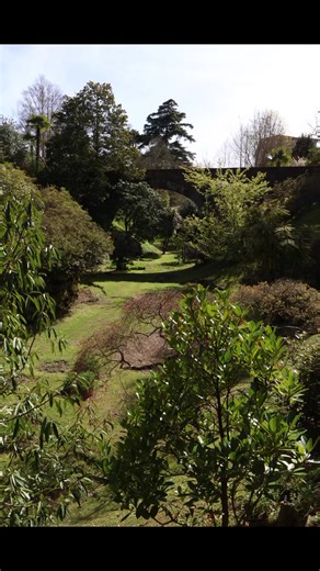 ⛲️🌷 #photo #canon #spring #fyp