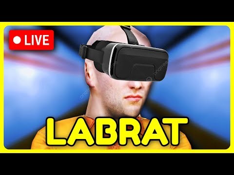 I'm Finally Doing It...