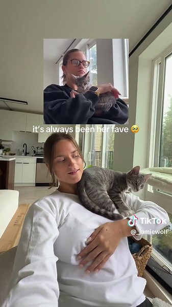 Adorable and Loving Girl Cat Moments