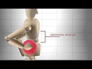 What If Our Knees Bent the Other Way?