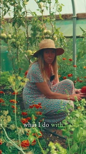 A Must-Grow Beefsteak Tomato! #gardeningideas