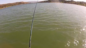 2.4K views · 18 reactions | Et un gros bass pour notre passionné ! La...