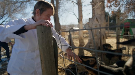 Connecting communities, one conversation at a time. In Colorado, Chef Ann Foundation uses Gemini in Google Meet to capture essential details for smooth collaboration, helping them build stronger partnerships for healthier kids. 🥕→ https://goo.gle/4gdkzTy #50States50Stories | Google Workspace