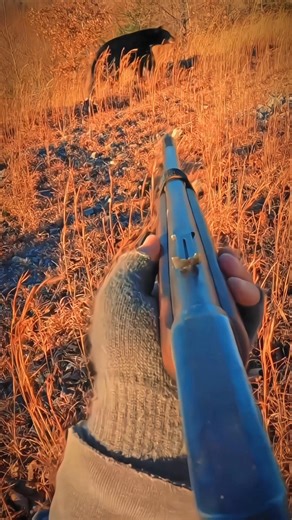 # Bear Hunt in Alaska - The UltimateChallenge! #Grizzly# Bear #Bear#Hunting#Alaska Hunting#alaska