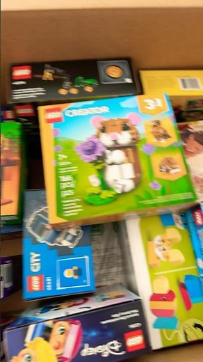 Our First LEGO Amazon Haul 📦🧱 | Cozy LEGO Builds Coming Soon