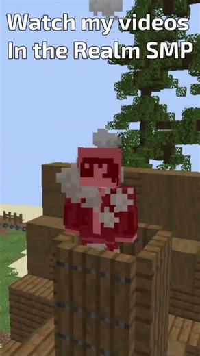 Things to do while you wait on the Realm Queue #minecraft #therealmsmp #therealm #realmsmp