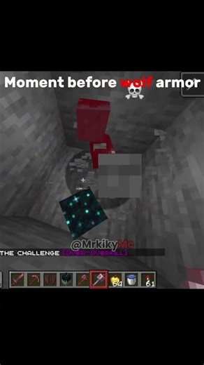 Minecraft wolf armor is crazy