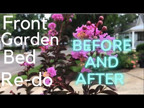 Front garden bed redo! (Planting Distylium, Aztec grasses and a Lavender Lace Crape Myrtle!)