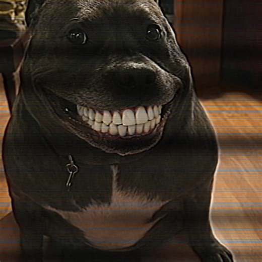 Feeling Scared: A Funny Meme Compilation