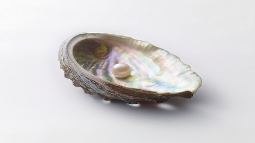 Pearl Metaphysical Properties: A Hidden Gemstone Guide | Gaia
