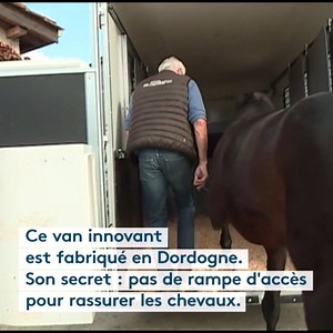 🚛🐎 Des vans de mieux en mieux conçus pour faire voyager les chevaux sans stress... | France 3 Nouvelle-Aquitaine